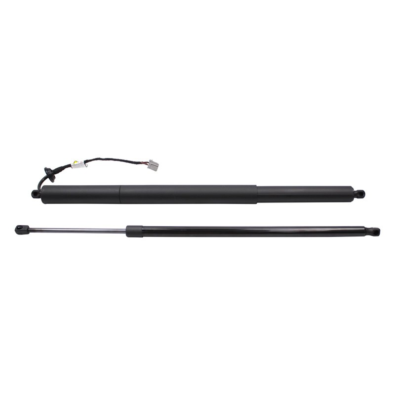 Roneeson 2Pcs Rear Left and Right Tailgate Lift Support for