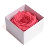 Infinity Rose Preserved Rose Box I Love You Gift for