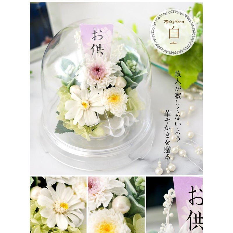 Hanayu Buddha Flowers, Preserved Flowers, Artificial Flowers, White Version, Clear