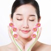 Face roller, facial massager, beauty device / 페이스 롤러 얼굴 마사지기 미용기구