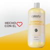 CELESTY | Shampoo sin Sulfatos y Parabenos - Shampoo Lacio