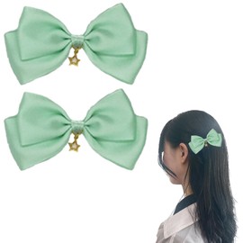 Ribbon Clip with Star Charm, Set of 2, Mint