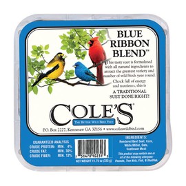COLES WILD BIRD PRODUCTS Blue Ribbon Blend Suet, 1 EA