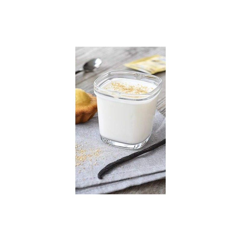 Alsa lactic ferments special yogurt - my house creamy yogurt