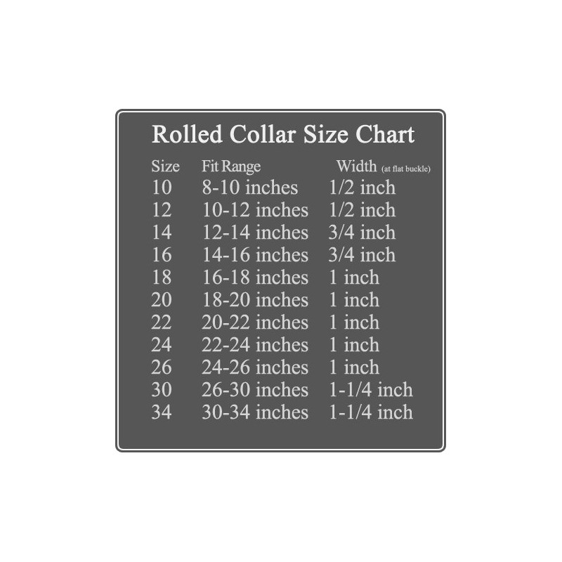 Auburn Leathercrafters Rolled Dog Collar - Royal Blue - 10