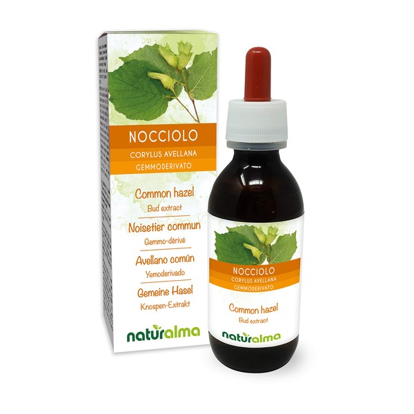 Common Hazel (Corylus avellana) Alcohol-Free Bud Extract from Fresh Buds