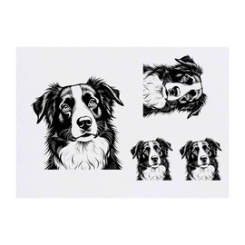 4 x 'Border Collie Portrait' Temporary Tattoos - Water Resistant, Skin-Safe, Non-Toxic Transfers, Mixed Sizes (TO00080726)