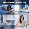 Aromatherapy Diffuser & 12 Essential Oils Set, 500 ML Ultrasonic
