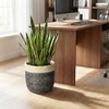 9.8 Inch Planter, Ceramic Planter, Round Pot for Plants, Light