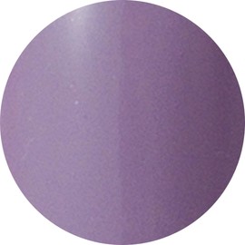 PREANFA (プリアンファ) PREGEL Muse カラージェル ヴェールモーブ284 3g PGU-S284 ジェルネイル