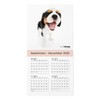 THE DOG 2026 Wall Calendar, Mini Size (Cavalier King Charles