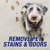 Resolve Ultra Pet Stain & Odor Remover Spray, 32oz