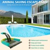 Poolvio Animal Saving Escape Ramp for Pool, Save Critters in
