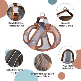 PawSailor Step-In Mesh Dog Harness and Lead Set, Breathable, No Pull, Escape Proof, Reflective, Adjustable, Easy Walk, Puppy Vest, Harness for Small Dogs, Cats, Brown XS