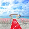 LEMONSODA Red Carpet Floor Runner Party Decoration Fabric 70 GSM