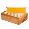 8-Frame Beehive Box Langstroth Medium Super Bee Box for Sale Wax Coated Bee Hives Includes Wooden Frames & Waxed Foundations