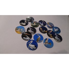 Unbranded Pre Cut One Inch Bottle Cap Images CUTE PELICAN Free Shipping - photo, 25 images