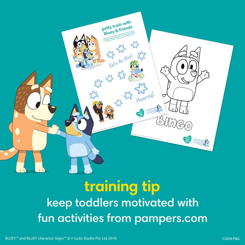 Pampers Training Pants - Easy Ups Boys & Girls Bluey