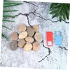 TEHAUX 10 Pack Hand Painted Stones Set with Bracket Kids