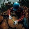 SHOWA Atlas 451 Natural Rubber Latex Palm Coated Insulated General