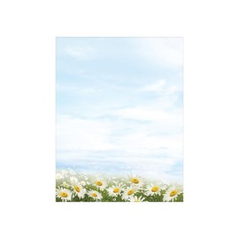 Great Papers! Daisy Day - Papel de papel con membrete, 8.5 x 11 pulgadas, 80 unidades, compatible con impresoras de inyección de tinta y láser (202014