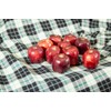RED Delicious Apple Tree - Size: 3-4 ft, Live Plant,