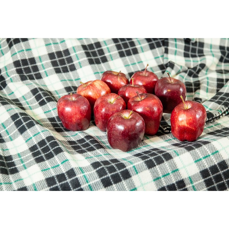 RED Delicious Apple Tree - Size: 3-4 ft, Live Plant,