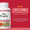 Natural Factors Propóleo De Abeja 500mg 90 Cápsulas Sfn Sin