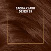 Koleston Tinte Permanente 55 Caoba Claro | Crema, Cabello normal