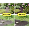 MulchWorx Black Mulch Color Concentrate- Quart - Treats 2,800 Sq.