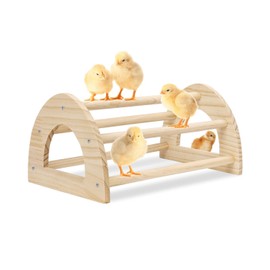 Chicken Perches Roosting Bar - 15.1" x 9.4" x 7" Chicken Roosts and Perches Chick Jungle Gym Toy for Baby Chicks, Hens Large, Roosts, Coop, Brooder