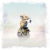 Richard Cooper Studio Cold Cast Bronze Mouse with Daisy -