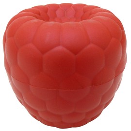 Hutzler Raspberries To-Go Snack Container Bento Box