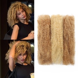 LPARMJIT Afro Kinkys Bulk Human Hair 8-Inch 30g/Bundle Kinky Curly Braiding Human Hair for Locs, Twists, Loc Repair, Dreadlock Extension. (P27/613, 12inch(1pack))