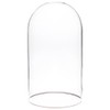 Plymor 5.5" x 10" Glass Display Dome Cloche with Silver