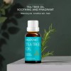 5pcs Aceite Esencial De Árbol De Té Antimicotico 100%natural