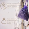 10 x Bags of Lavender Filled With Real French Lavender