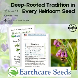 Earthcare Seeds True Comfrey 50 Seeds (Symphytum officinale) Non GMO, Heirloom Brown