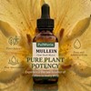 Pulmoria Clear Stuck Mucus, with Wild Mullein Extract, Cordyceps, Bromelain,