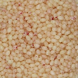 Smarty Stop Jelly Beans Every Flavor Candies (Tropical Punch, 2 Pound (Pack of 1))