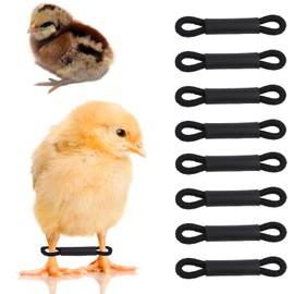 50 Pack Baby Chick Leg Hobbles | Leg Hobbles for Chicks Ducks Birds Spraddle Leg Repair | Supports Natural Leg Position | Corrects Splayed Legs | Ideal for Newly Hatched Chicks