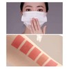 ETUDE Vintage Red Lipstick 4g Fixing Tint 1 pcs