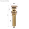 GORDEE Bathroom Vessel Sink Pop Up Drain With Detachable Garbage