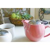 ZEROJAPAN Universal teapot 680cc aqua mist BBN-04 AM (japan import)