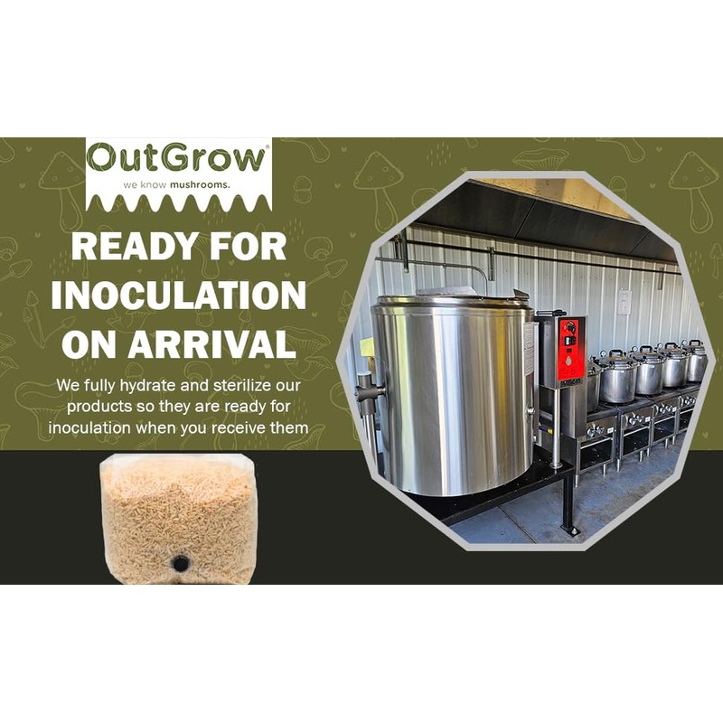 Premium Brown Rice Mushroom Spawn Bag | Sterilized Grain Spawn