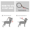 Fida Durable Slip Lead Dog Leash Bulk Pack of 5,