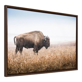 Kate and Laurel Sylvie American Bison Buffalo in Prairie Grass Framed Canvas Wall Art, 23x33 Brown, Prairie Animal Wall Art Decor