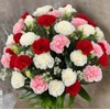 KaBloom Flowers - 18 Assorted Carnation Without Vase - Gift