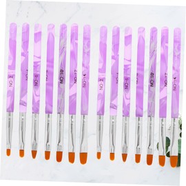 Healeved 14pcs Nail Art Brush Set Tips Gel Nail Painting Brushes for Includes and Art Tips for Salon and Home Use