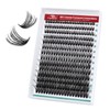 FADVAN Cluster Eyelash Extensions 280pcs 50D Lash Clusters DIY Lash